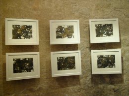 6 Stck Bewegungsbilder schwarz/gold von Sabine Krist  Kunst im Karner - St. Othmar