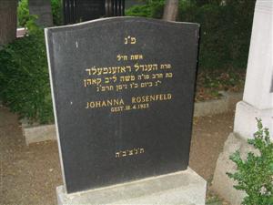 Israelitischer Friedhof in Mdling