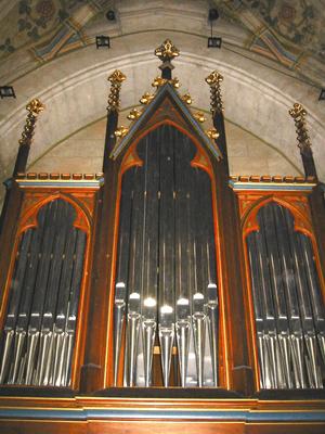 Die neuen Pfeifen der Orgel