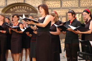 21 MIEDZYNARODOWY PRZEGLAD CHÓRÓW W MÖDLING 2008 - Polska Wspólnota w Parafii St. Othmar