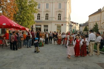 22 MIĘDZYNARODOWY PRZEGLĄD CHRW  W MDLING 2009