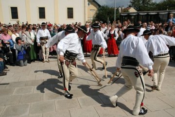 Polskie Dożynki na Kahlenberg 2009