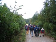 Aufstieg zur Seewiese