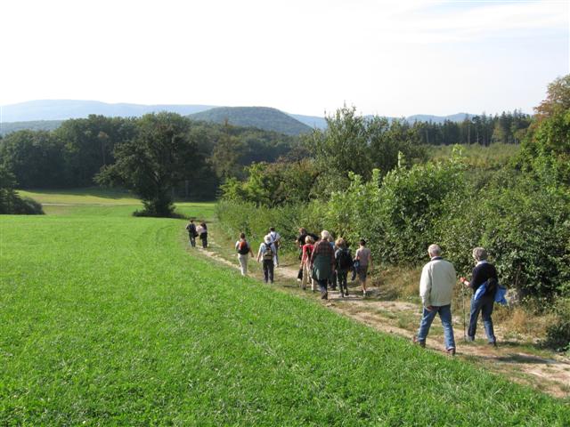 Wallfahrt nach Heiligenkreuz