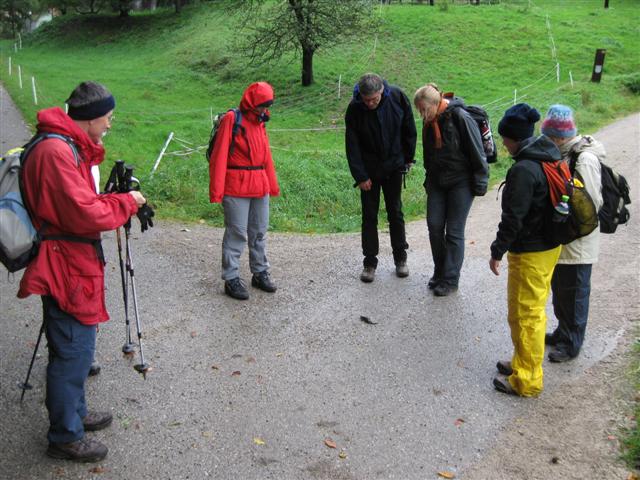 Wallfahrt nach Heiligenkreuz