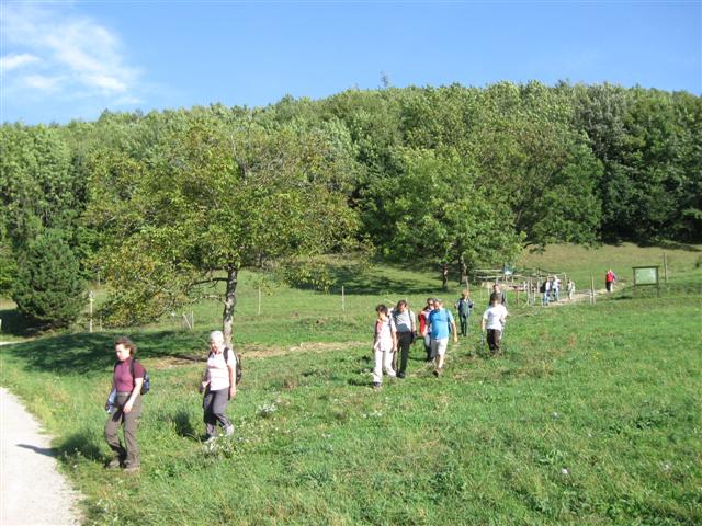 Wallfahrt nach Heiligenkreuz