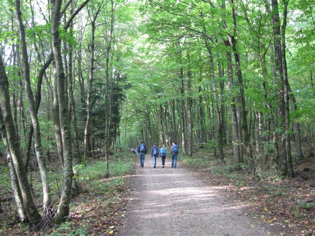Wallfahrt nach Heiligenkreuz