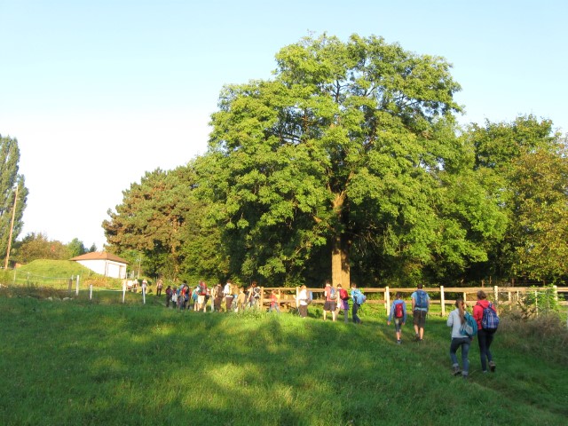 Wallfahrt nach Heiligenkreuz