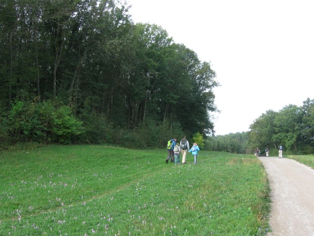 Wallfahrt nach Heiligenkreuz