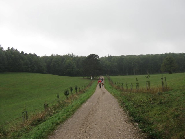Wallfahrt nach Heiligenkreuz
