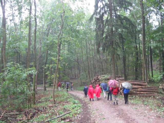 Wallfahrt nach Heiligenkreuz