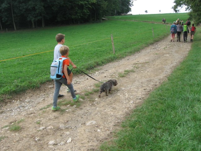 Wallfahrt nach Heiligenkreuz