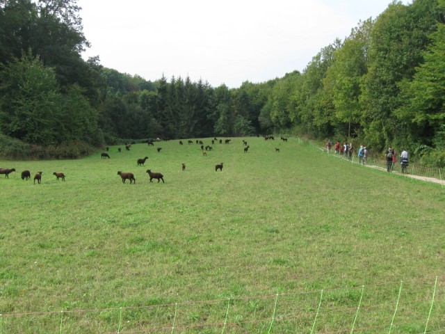 Wallfahrt nach Heiligenkreuz