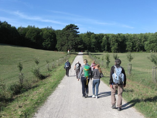Wallfahrt nach Heiligenkreuz