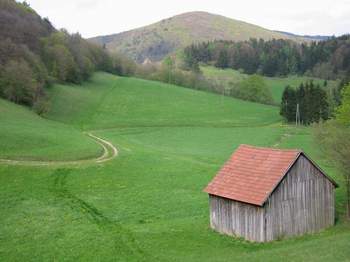 Unber�hrte Natur bei Neuhaus