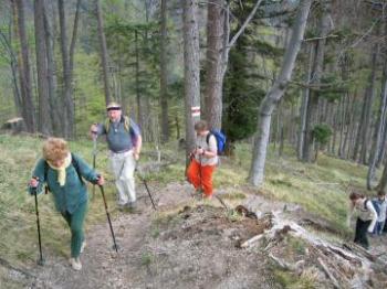 Heidi, Hansi & B&auml;rbl