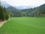 die "gr�ne Wiese" vor Seebach bei St.�gyd