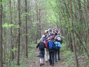 nach Heiligenkreuz - Pfarrwallfahrt nach Mariazell � Pfarre St. Othmar in M�dling