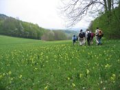 beim Peilstein vorbei - Pfarrwallfahrt nach Mariazell � Pfarre St. Othmar in M�dling