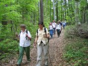 Abstieg nach Tasshof - Pfarrwallfahrt nach Mariazell � Pfarre St. Othmar in M�dling