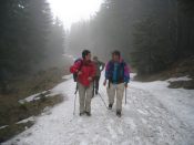 Schnee bei Brunntaler H�he - Pfarrwallfahrt nach Mariazell � Pfarre St. Othmar in M�dling