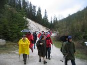 Weras�der Wiesen - Pfarrwallfahrt nach Mariazell � Pfarre St. Othmar in M�dling
