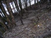 steiler Aufstieg zur Strasse - Pfarrwallfahrt nach Mariazell � Pfarre St. Othmar in M�dling