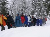 G�nsemarsch nach dem Krumbachsattel - Pfarrwallfahrt nach Mariazell � Pfarre St. Othmar in M�dlingg