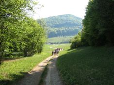 Wiese unterhalb des Peilsteins - Fu�wallfahrt nach Mariazell 2007 � Pfarre St. Othmar in M�dling