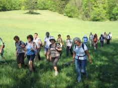 Wiese nach Holzschlag - Fu�wallfahrt nach Mariazell 2007 � Pfarre St. Othmar in M�dling