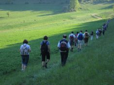 Wiese bei Hof, nach Ta�hof - Fu�wallfahrt nach Mariazell 2007 � Pfarre St. Othmar in M�dling