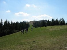 zum Unterberggipfel - Fu�wallfahrt nach Mariazell 2007 � Pfarre St. Othmar in M�dling