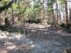 Windbruch beim Abstieg vom Unterberg - Fu�wallfahrt nach Mariazell 2007 � Pfarre St. Othmar in M�dling
