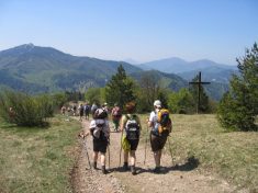 vom Kieneck zum Unterberg - Fu�wallfahrt nach Mariazell 2007 � Pfarre St. Othmar in M�dling