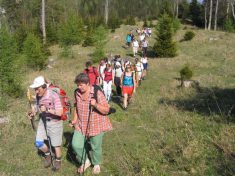beim Abstieg vom Unterberg - Fu�wallfahrt nach Mariazell 2007 � Pfarre St. Othmar in M�dling