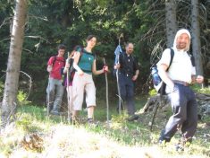beim Abstieg vom Unterberg - Fu�wallfahrt nach Mariazell 2007 � Pfarre St. Othmar in M�dling