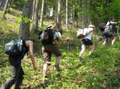 Aufstieg auf den Hochreith - Fu�wallfahrt nach Mariazell 2007 � Pfarre St. Othmar in M�dling