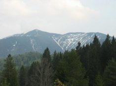 G�ller - Fu�wallfahrt nach Mariazell 2007 � Pfarre St. Othmar in M�dling