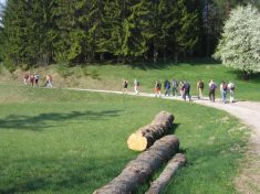 Richtung Kalte Kuchl - Fu�wallfahrt nach Mariazell 2007 � Pfarre St. Othmar in M�dling