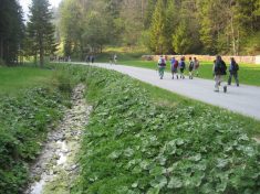 Unrechtraisental - Fu�wallfahrt nach Mariazell 2007 � Pfarre St. Othmar in M�dling