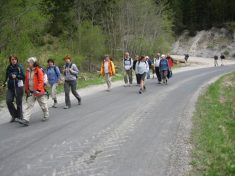 entlang der Walster - Fu�wallfahrt nach Mariazell 2007 � Pfarre St. Othmar in M�dling