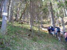 Aufstieg zum Hohlenstein - Fu�wallfahrt nach Mariazell 2007 � Pfarre St. Othmar in M�dling