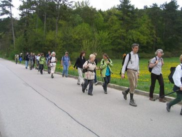 Vor Mayerling - Fu�wallfahrt nach Mariazell 2008 � Pfarre St. Othmar in M�dling