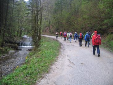 im Staffgraben - Fu�wallfahrt nach Mariazell 2008 � Pfarre St. Othmar in M�dling