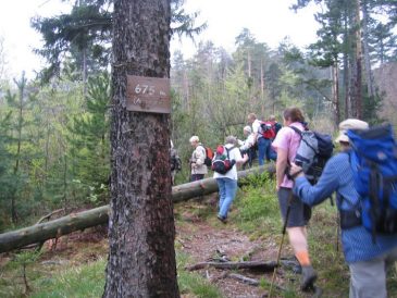 Anstieg auf das Kieneck, Tafel mit H�henangabe - Fu�wallfahrt nach Mariazell 2008 � Pfarre St. Othmar in M�dling
