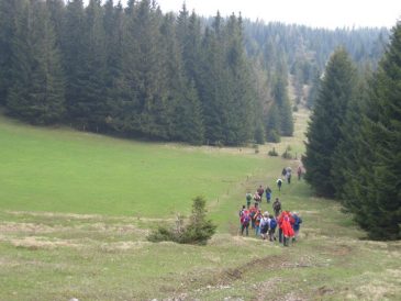Almwiese beim Abstieg vom Unterberg vor Brunntaler H�he - Fu�wallfahrt nach Mariazell 2008 � Pfarre St. Othmar in M�dling