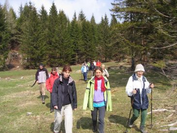 Abstieg vom Unterberg, Brunntaler H�he - Fu�wallfahrt nach Mariazell 2008 � Pfarre St. Othmar in M�dling