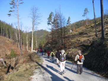 Abstieg vom Krumbachsattel in die Walster - Fu�wallfahrt nach Mariazell 2008 � Pfarre St. Othmar in M�dling