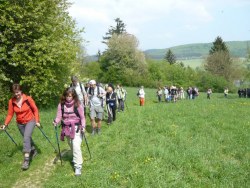 Abmarsch von der Wiese bei Heiligenkreuz  <> Fusswallfahrt nach Mariazell 2009 � Pfarre St. Othmar in M�dling