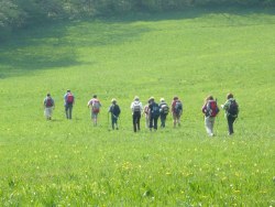 Wiese nach Holzschlag beim Peilstein  <> Fusswallfahrt nach Mariazell 2009 � Pfarre St. Othmar in M�dling